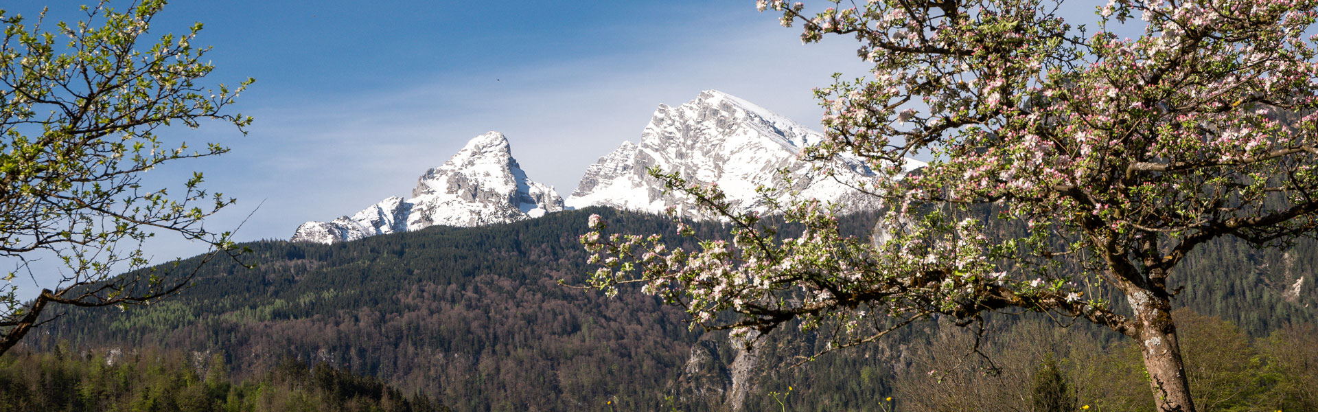 Headerbild 002